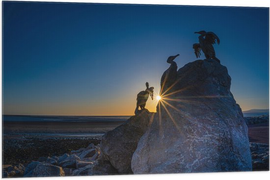 WallClassics - Vlag - Volgels op Rots bij Zonsondergang - 105x70 cm Foto op Polyester Vlag