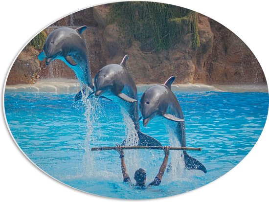 WallClassics - PVC Schuimplaat Ovaal - Springende Dolfijnen - 56x42 cm Foto op Ovaal (Met Ophangsysteem)