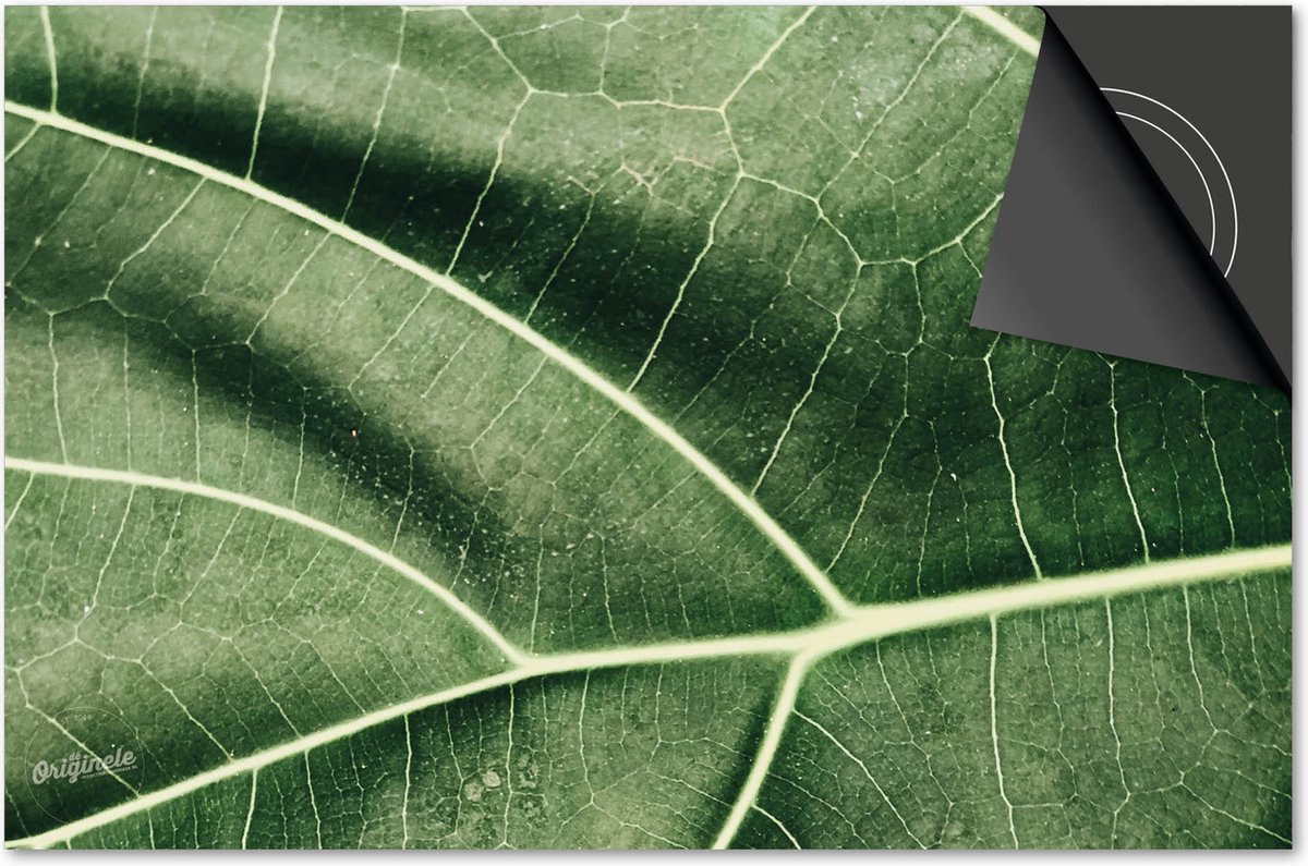 Inductie beschermer 76x51,5 - afdekplaat inductie mat - Dietrix Kookplaat beschermer - Exclusief - Leaves - 5 Lichtgroene nerf blad