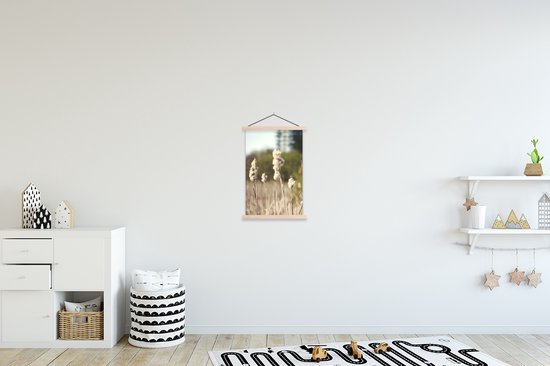 Porte-affiche avec affiche - Affiche scolaire - Katoen - Soleil - Plantes - 40x60 cm - lattes vierges