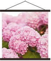 Posterhanger incl. Poster 60x60 cm - Schoolplaat - Struik - Bloemen - Roze - Hortensia - Textielposter - Zwarte latten