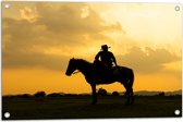 Tuinposter – Silhouet van Cowboy op zijn Paard tijdens Mooie Zomerse Zonsondergang - 75x50 cm Foto op Tuinposter (wanddecoratie voor buiten en binnen)