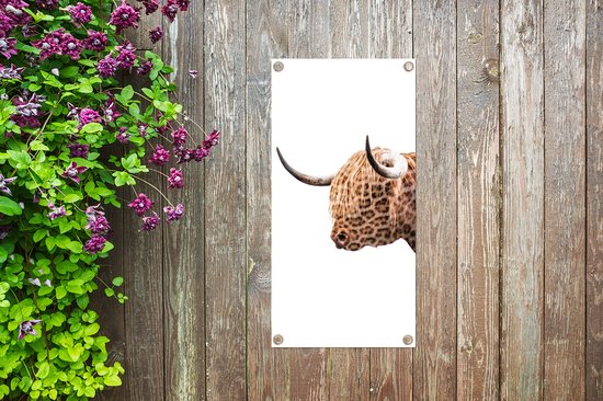 Tuinposter 30x60 cm - Tuindecoratie Schotse hooglander - Panter - Wit - Poster voor in de tuin - Buiten decoratie - Schutting tuinschilderij - Tuindoek muurdecoratie - Wanddecoratie balkondoek