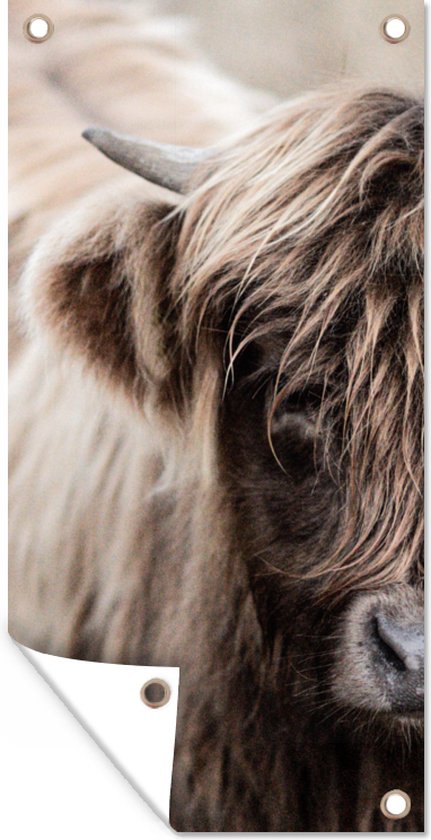 Poster de jardin Highlander écossais - Vache - Fourrure - 40x80 cm - Décoration murale Outdoor - Poster de jardin - Toile de jardin - Poster de clôture - Tableau de jardin