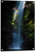 WallClassics - Tuinposter – Waterval in Groen Bos - 60x80 cm Foto op Tuinposter (wanddecoratie voor buiten en binnen)