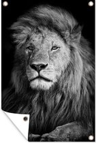 Muurdecoratie Wilde dieren - Leeuw - zwart - Wit - 120x180 cm - Tuinposter - Tuindoek - Buitenposter