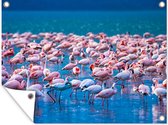 Tuinposter - Tuindoek - Tuinposters buiten - Flamingo - Water - Tropisch - Water - Roze - 120x90 cm - Tuin