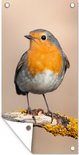 Tuinposter van roodborstje met oranje borst op een bemoste tak, hoek omgevouwen om de witte achterzijde te tonen.