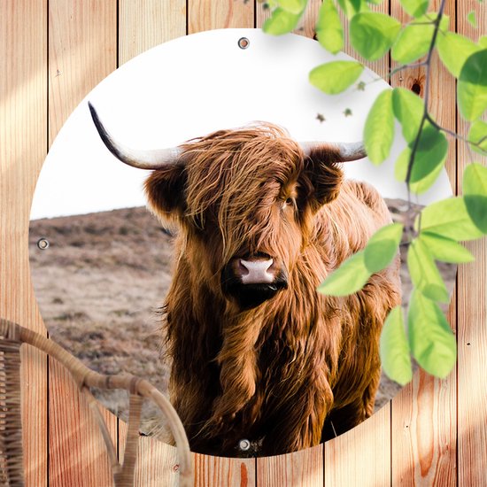 Ronde Tuinposter Highland Cow On Islay