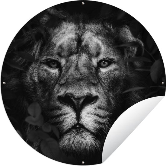 Garden Circle Plantes - Lion - Jungle - Zwart - Wit - 60x60 cm - Affiche de Jardin Ronde - Extérieur