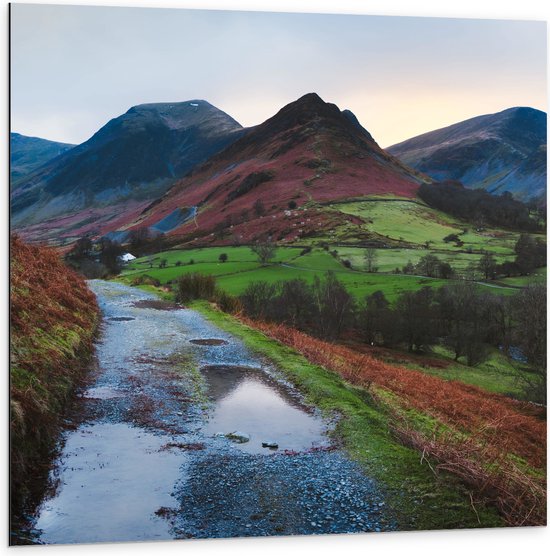 Dibond - Gebergten met Bomen - 100x100 cm Foto op Aluminium (Met Ophangsysteem)