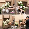 Vier foto's die het inpakken van een witte orchidee in een kartonnen doos tonen.
