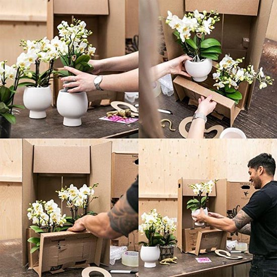 Vier foto's die het inpakken van een witte orchidee in een kartonnen doos tonen.