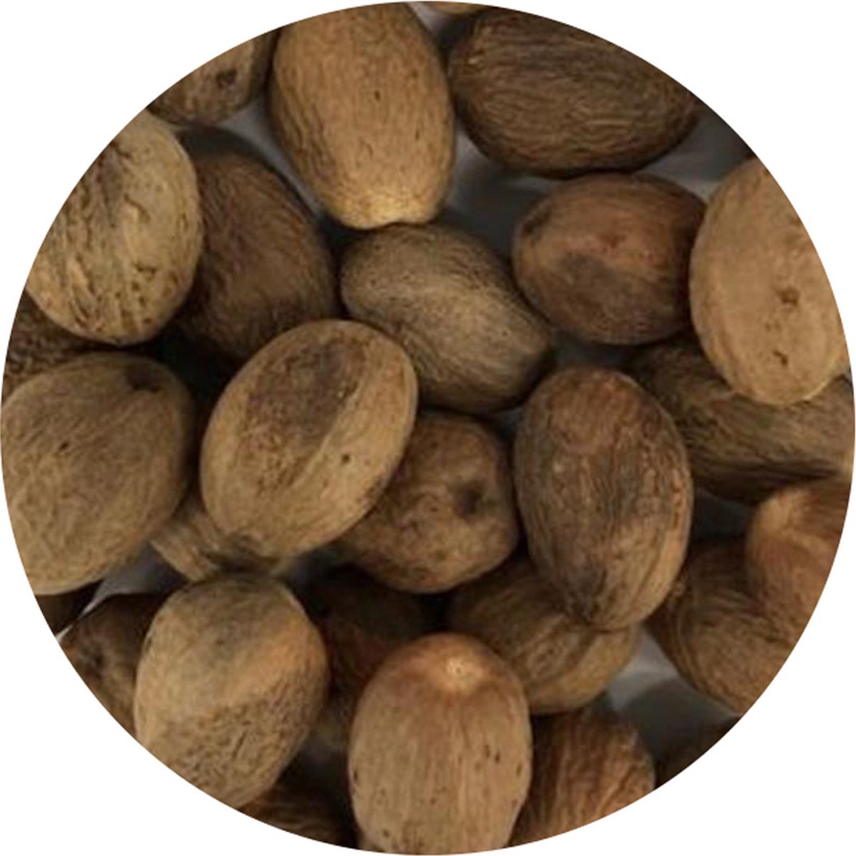Goedkoopste Van Beekum Specerijen - Nootmuskaat Bollen - 20 KG - Zak (bulk verpakking