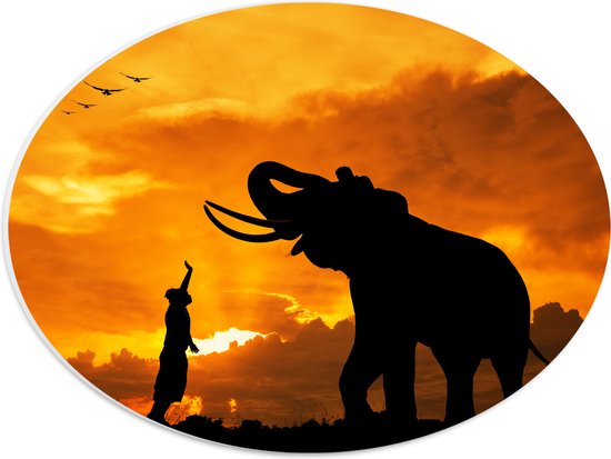 PVC Schuimplaat Ovaal - Silhouet van Olifant met Persoon en Vogels in Afrika - 40x30 cm Foto op Ovaal (Met Ophangsysteem)