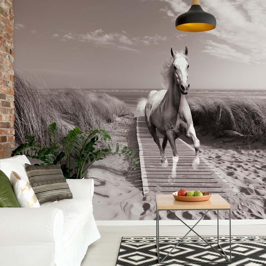 Papier peint Cheval au galop sur la plage noir et blanc | V8 - 368 cm x 254 cm | Polaire 130gr / m2