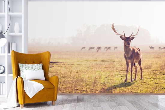 Papier peint - Papier peint Papier peint photo Cerf - Bois - Herbe - Largeur 420 cm x hauteur 280 cm