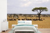 Behang - Fotobehang De dorre vlakte van de Tanzaniaanse savanne in het nationaal park Tarangire - Breedte 420 cm x hoogte 280 cm