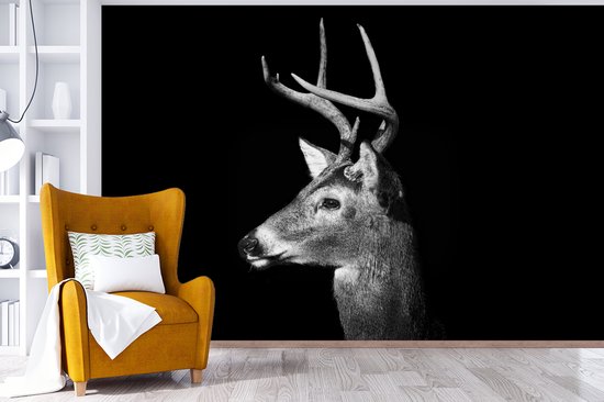 Papier peint - Papier peint Papier peint photo Profil animal cerf en noir et blanc - Largeur 360 cm x hauteur 240 cm