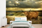 Behang - Fotobehang Schotse hooglander - Licht - Natuur - Breedte 450 cm x hoogte 300 cm
