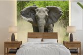 Behang - Fotobehang Rennende olifant - Breedte 350 cm x hoogte 350 cm