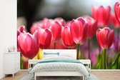 Behang - Fotobehang Roze tulpenbloemen - Breedte 450 cm x hoogte 300 cm