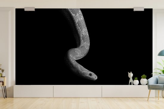 Behang - Fotobehang Dieren - Slang - Zwart - Wit - Portret - Breedte 465 cm x hoogte 260 cm