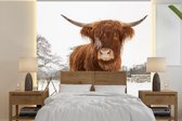 Behang - Fotobehang Schotse hooglander - Sneeuw - Winter - Breedte 300 cm x hoogte 300 cm