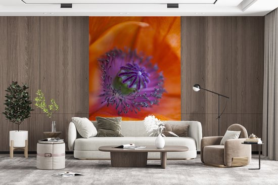 Image macro du pistil d'un coquelicot 200x300 cm