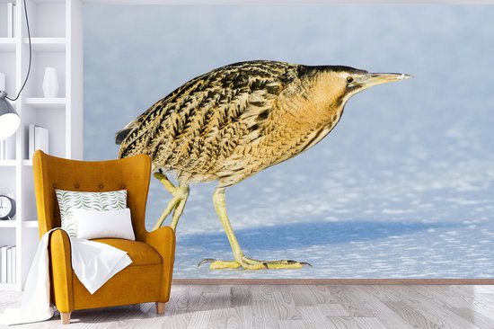 Papier peint photo vinyle - Un butor marche sur la glace largeur 330 cm x hauteur 220 cm - Tirage photo sur papier peint (disponible en 7 tailles)