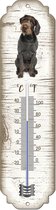 Thermometer: Duitse Staande Hond Draadhaar | Hondenras | Temperatuur binnen en buiten | -25 tot +45C
