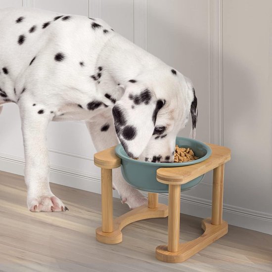 Voerbak voor kat en kleine hond Yuky ZOLIA