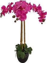 Kunst Paarse Orchidee Groot | 80cm - Namaak orchidee - Kunstplanten voor binnen - Kunstplant orchidee