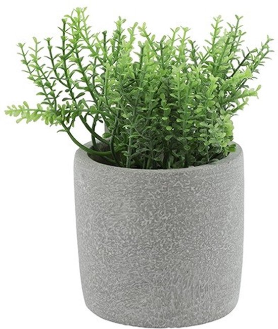 Countryfield Plante/herbes artificielles romarin - Countryfield - dans un pot en ciment gris - 19 cm - herbes