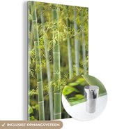 MuchoWow® Glasschilderij 120x180 cm - Schilderij acrylglas - Bamboe in bloei - Foto op glas - Schilderijen