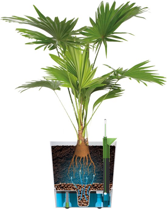 Elho - Pot De Fleurs - Greensense Aqua Care Carre 30 - Gris Charbon Interieur Exterieur O 29 5 X H 30 2 Cm 669e77a4278873324a6e0916