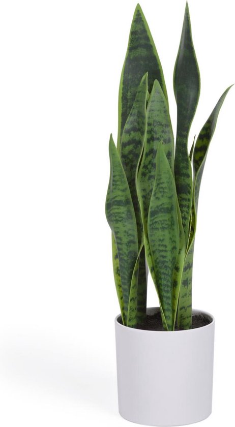 Kave Home - Kunstmatige Sansevieria met witte plantenpot 55 cm