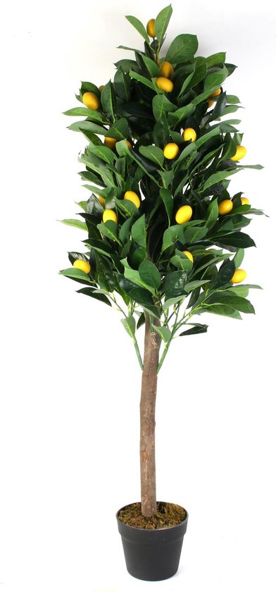 NATURN LIVING Kunststof Citroenboom - ø 16 x 125 cm - Citrus Limon - Kunstboom - Onderhoudsvrije Citroen Boom - Mediterrane Decoratie Plant - Allergievriendelijke Kunstfruitboom - Nepplant - Geel