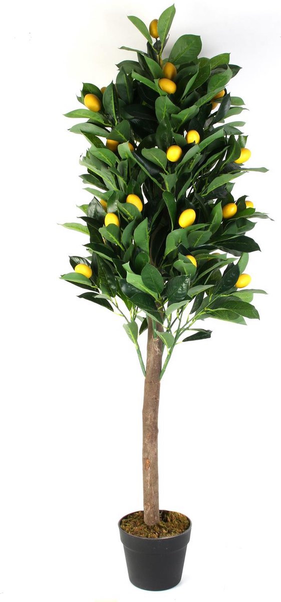 Naturn Living Kunst Citroenboom 125 cm – Realistische Citrus Limon Kunstboom in Pot – Mediterrane Nepplant met Gele Vruchten – Onderhoudsvrije & Allergievriendelijke Sierplant voor Binnen & Buiten – Geel Groen