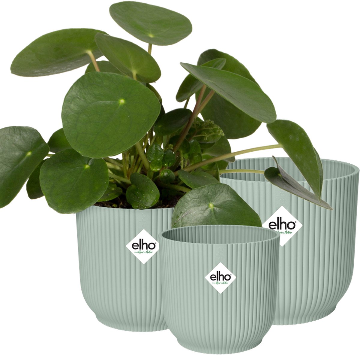Elho Vibes Fold Rond Bloempotten voor Binnen 100% Gerecycled Plastic Set van 3 Ø 14 16 18 cm Sorbet Groen