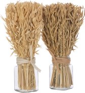 J-Line bouquet Herbes Avana Dans Vase - naturel - 2 pièces