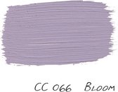 Carte Colori 2,5L Puro Matt Krijtlak Bloom CC066