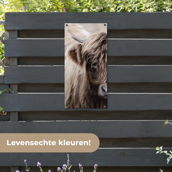Poster de jardin Highlander écossais - Vache - Fourrure - 40x80 cm - Décoration murale Outdoor - Poster de jardin - Toile de jardin - Poster de clôture - Tableau de jardin