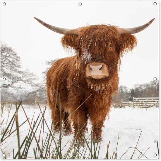 Tuindoek Schotse hooglander - Sneeuw - Winter - 100x100 cm