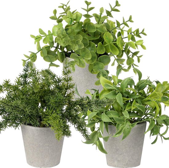 Kunstplant mini kunstmatige groene plant eucalyptus rozemarijn kruiden in cementpot decoratie badkamer bureau keuken tuin decoratie set van 3