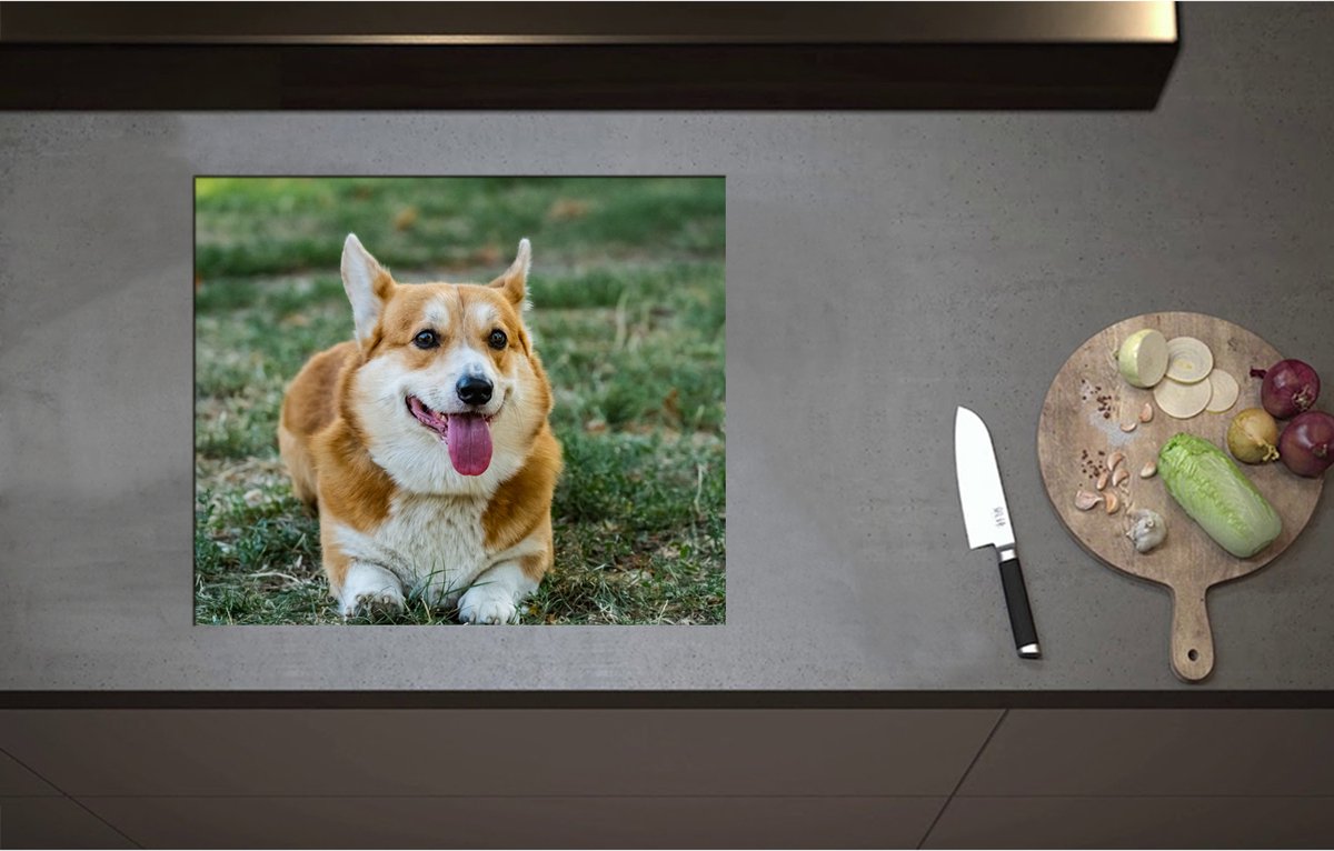 Inductieplaat Beschermer - Blije Corgi Hond met Uitstekende Tong in het Grasveld - 60x51 cm - 2 mm Dik - Inductie Beschermer - Bescherming Inductiekookplaat - Kookplaat Beschermer van Zwart Vinyl