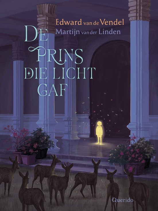 De prins die licht gaf - cover