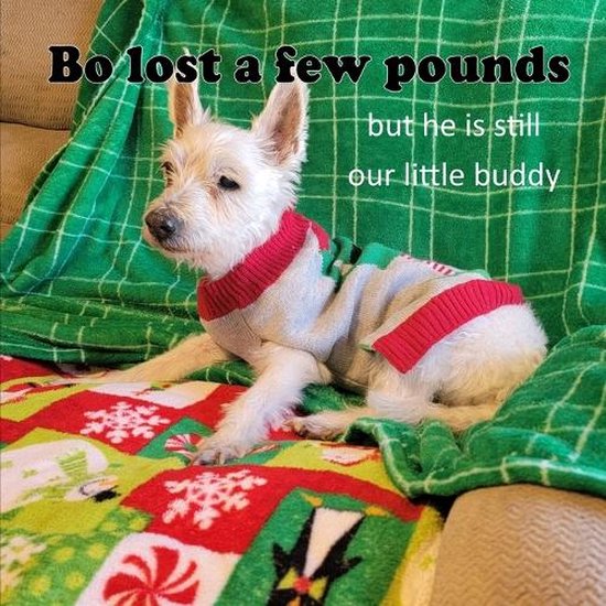 Bo lost a few pounds, but he is still our little buddy - cover