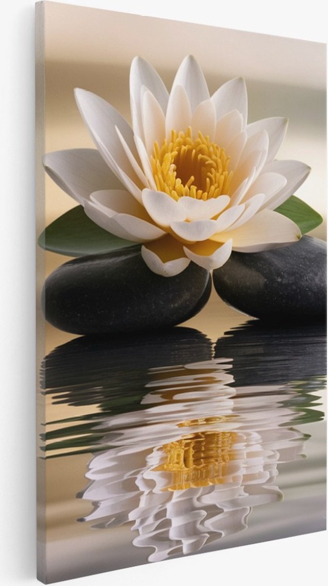 Saammp Canvas Schilderij - Lotusbloem op steen - Landschap - Natuur - 20x30 - Foto op canvas - Wanddecoratie - Muurdecoratie Woonkamer - Slaapkamer decoratie - Canvas Print Multicolor