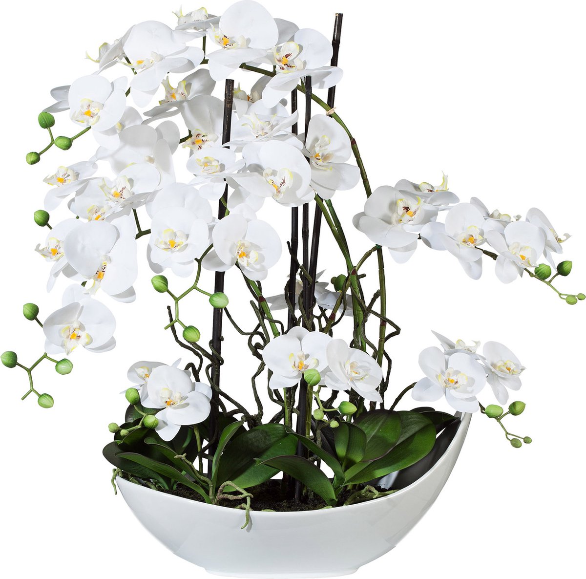 Kopu® Kunstbloem Volle Orchidee 68 cm Wit met Schaal - Phalenopsis